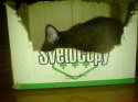 DSC00523.JPG