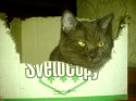 DSC00525.JPG