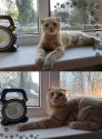 1_y_claw_1.jpg