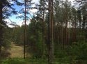 1D3D2466-6411-4D2B-B60B-950A87D9EE22.jpeg