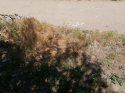 IMG_20200616_132321.jpg