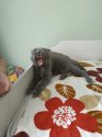 IMG_20200714_142504.jpg