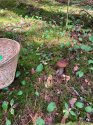 IMG_20200726_180304_006.jpg