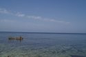 DSC08661.JPG