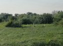IMG_20200717_072816.jpg