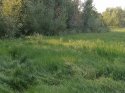 IMG_20200717_071640.jpg