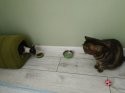 IMG_20200918_080922.jpg