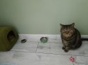 IMG_20200918_080904.jpg