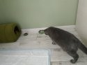 IMG_20200918_081051.jpg
