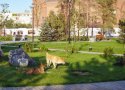Polish_20200918_115622653.jpg