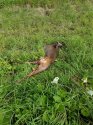 20200919_102318.jpg