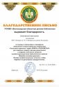 благодарность за поделку короны.jpg