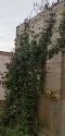 IMG_20201019_171407.jpg