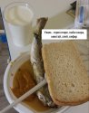 Polish_20201023_191416754.jpg