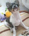 IMG_20201029_120722_307.jpg