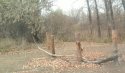 IMG_20201031_151235.jpg