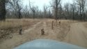 IMG_20201031_152207.jpg