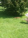 IMG_20200811_120110.jpg