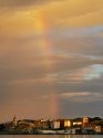 IMG_20200819_073619.jpg
