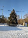 IMG_20201222_150252.jpg