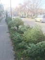 IMG-20210111-WA0005.jpg