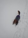 IMG-20210113-WA0006.jpg