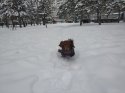IMG-20210118-WA0006.jpg