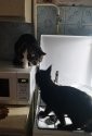 20190408_023522.jpg