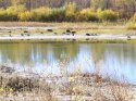 IMG_20201017_133626.jpg