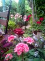 IMG_20150709_180951.jpg