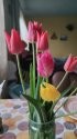 IMG_20210517_050613.jpg