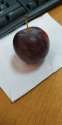IMG_20210824_133957.jpg