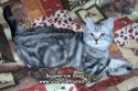 DSCN4635.jpg