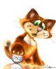 cat.jpeg