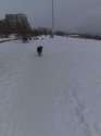 20220128_130026_новый размер.jpg
