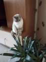 IMG-20220327-WA0000.jpg