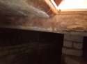 IMG_20220624_165312_7.jpg