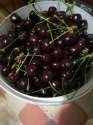 IMG_20220626_210034.jpg