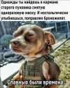 123.jpg
