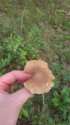 IMG-20221014-WA0036.jpg