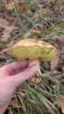 IMG-20221014-WA0068.jpg