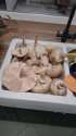 IMG-20221014-WA0083.jpg
