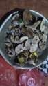IMG-20221103-WA0009.jpeg