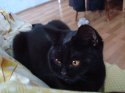 DSC03754.JPG