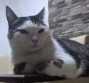 IMG-20210105-WA0062~2.jpg