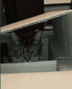 Скриншот 04-06-2023 214959.png
