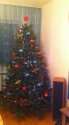 IMG_1005.jpeg