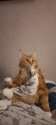 IMG-20231110-WA0018.jpg