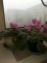 IMG-20231126-WA0008.jpg
