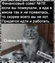 IMG-20231224-WA0000.jpg